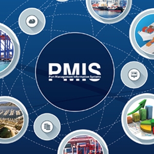 PMIS